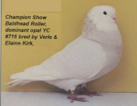 click for larger imagee